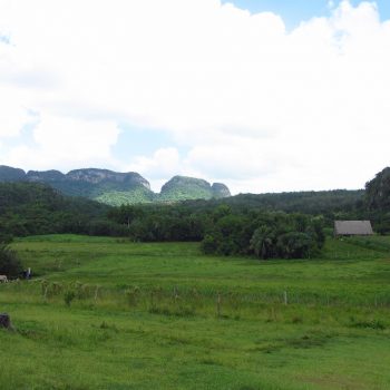 Vallei de Viñales